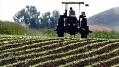 Kaçırmayın! Çiftçilere Verilen Desteğe Başvurmak İçin Sadece 8 Gün Kaldı! - XHaber Merkezi