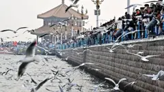 Bilim İnsanlarından Küresel Uyarı: Deniz Seviyeleri 4 Bin Yılın Zirvesinde Yükseliyor - XHaber Merkezi