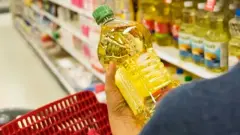 PTT AVM’den Büyük Fırsat! 20 Litrelik TMO Ayçiçek Yağı Seti Rekor Fiyatla Satışta - XHaber Merkezi